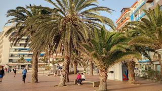 GC-Paseo Las Canteras (Las Palmas) 2026-176.jpg